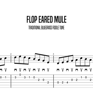 Flop Eared Mule, Marcel Ardans (Intermediate)