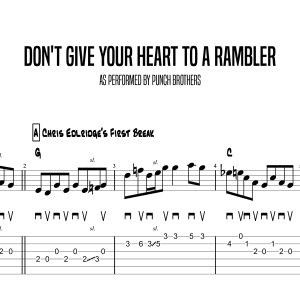 Don't Give Your Heart To A Rambler, Chris Eldridge