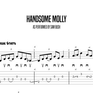 Handsome Molly, Sam Bush (Beginner)