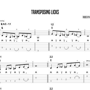 Transposing Licks, Marcel Ardans (Intermediate)